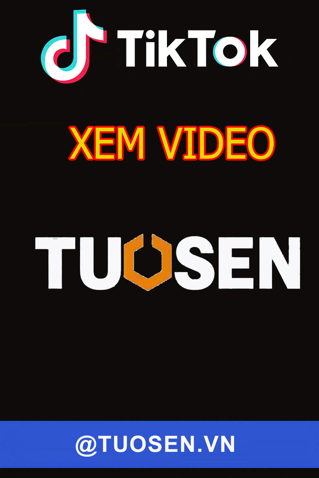 TikTok Tuosen Việt Nam